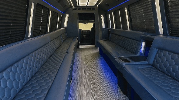 birmingham 40 passenger party bus rental