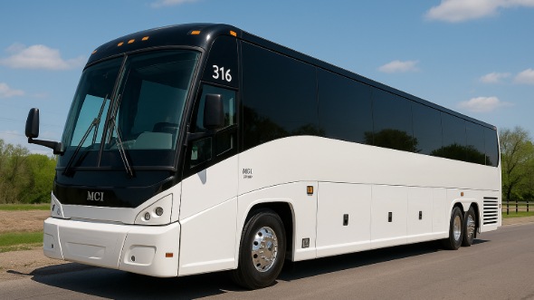 sandy springs bachelor and bachelorette party bus rentals